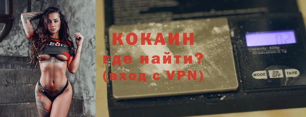 прущие грибы Приозерск
