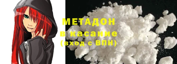 прущие грибы Приозерск
