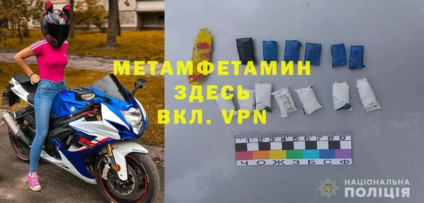 прущие грибы Приозерск