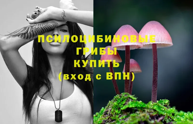 Галлюциногенные грибы Psilocybe  Грязи 