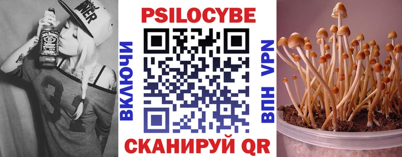 купить  цена  Грязи  Псилоцибиновые грибы GOLDEN TEACHER 