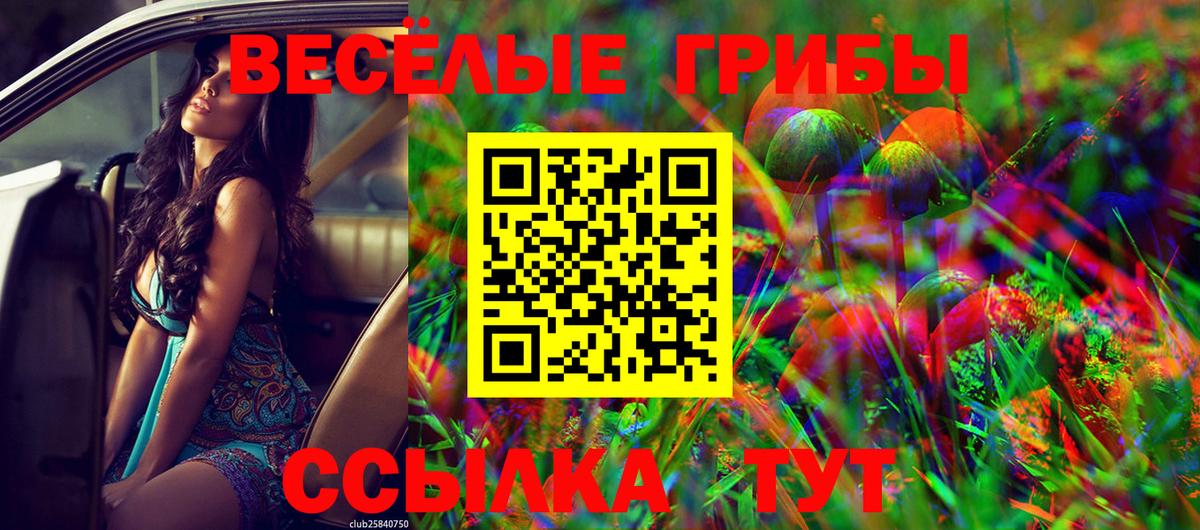 Грязи  Галлюциногенные грибы Psilocybine cubensis  Псилоцибиновые грибы мухоморы  Вход с VPN 