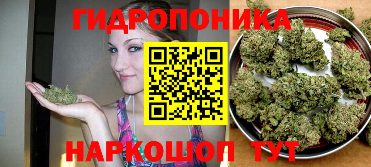 Грязи  Шишки марихуана индика  Вход с VPN  Канабис Bruce Banner  МАРИХУАНА план  Бошки марихуана White Widow 